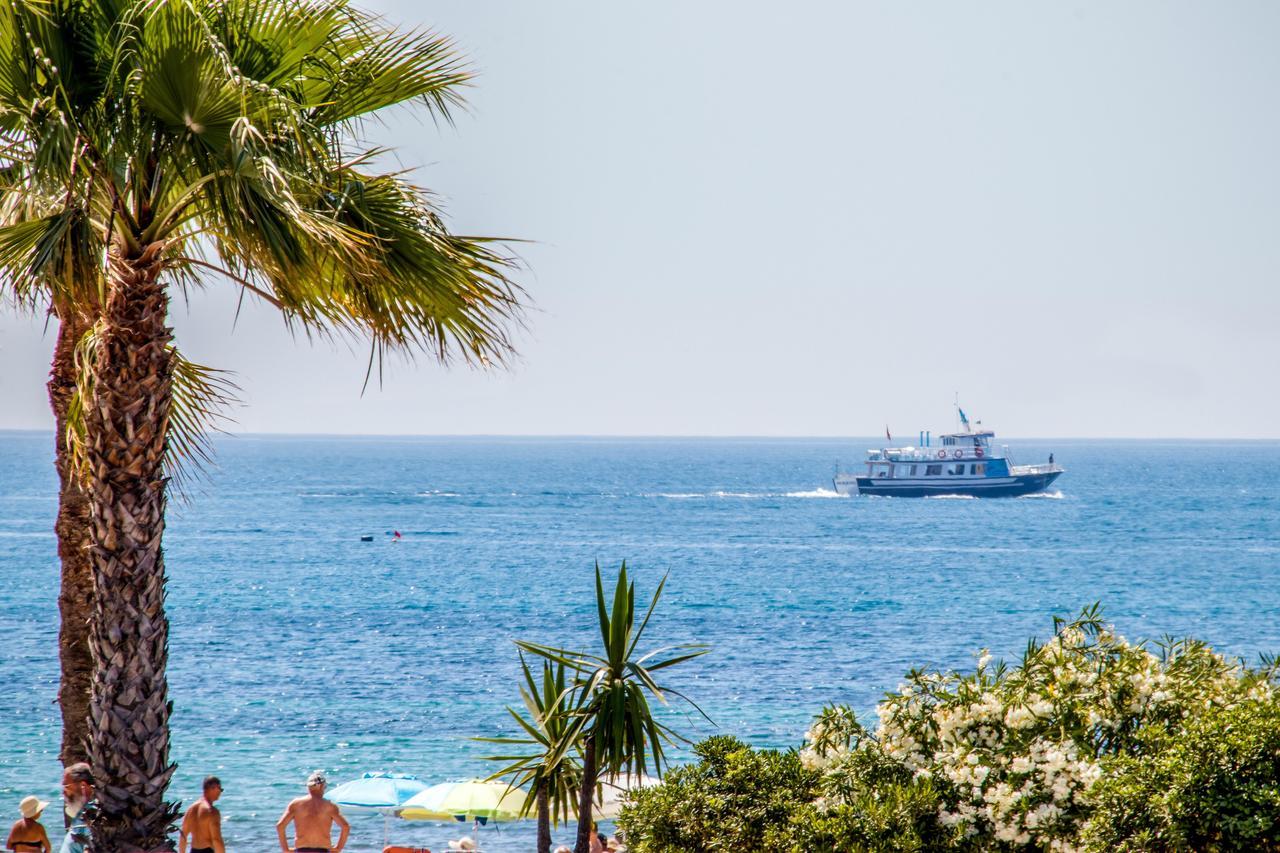 Espanatour Vega Baja Torrevieja Ngoại thất bức ảnh